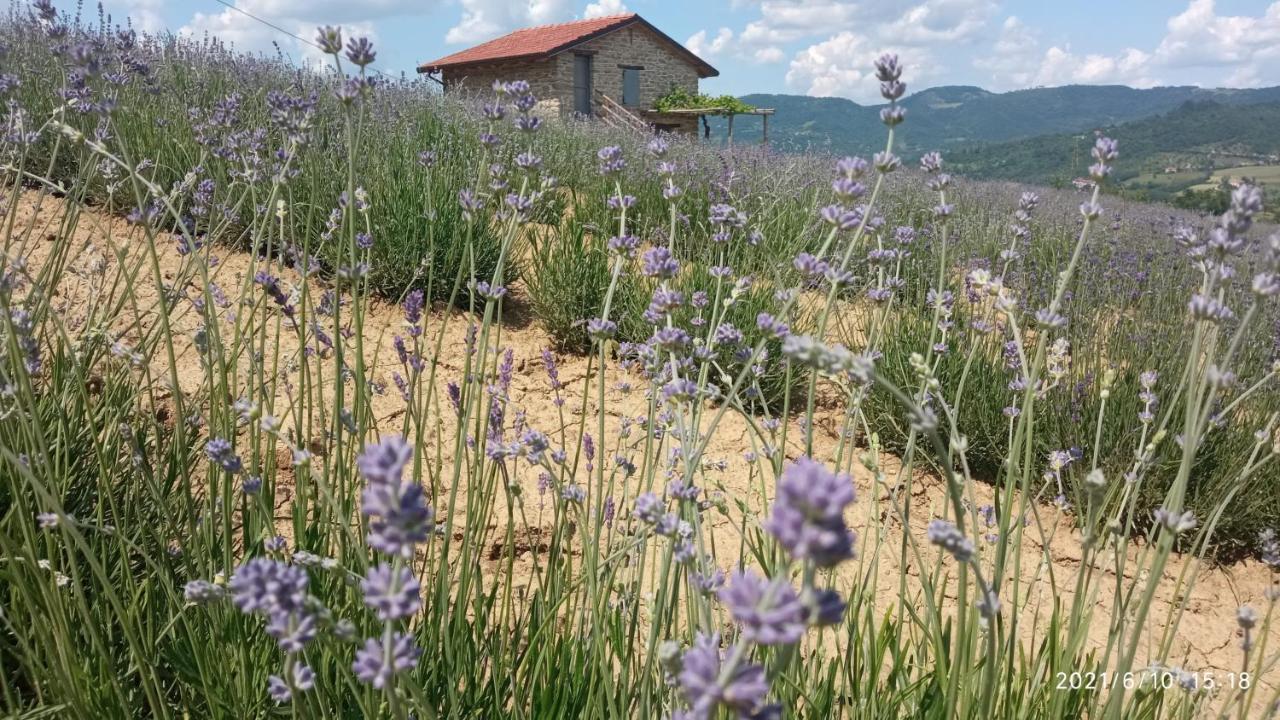 Cascina Boschetto Saliceto Exterior foto