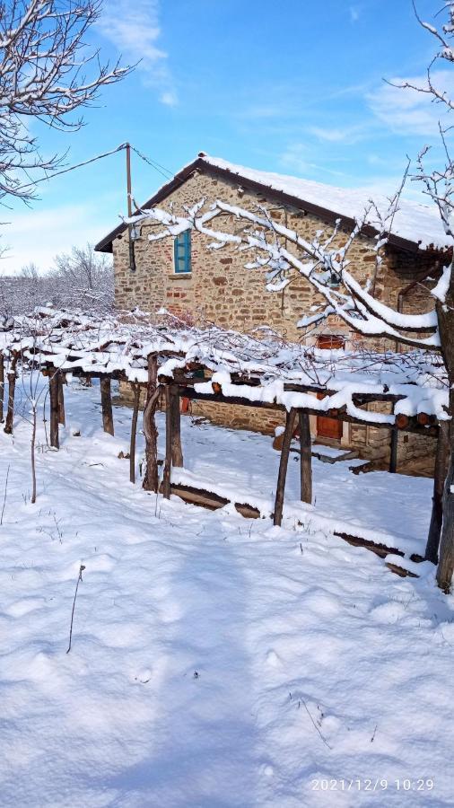 Cascina Boschetto Saliceto Exterior foto